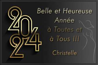 Votre LoveShop vous Souhaite une Belle et Heureuse Année 2024